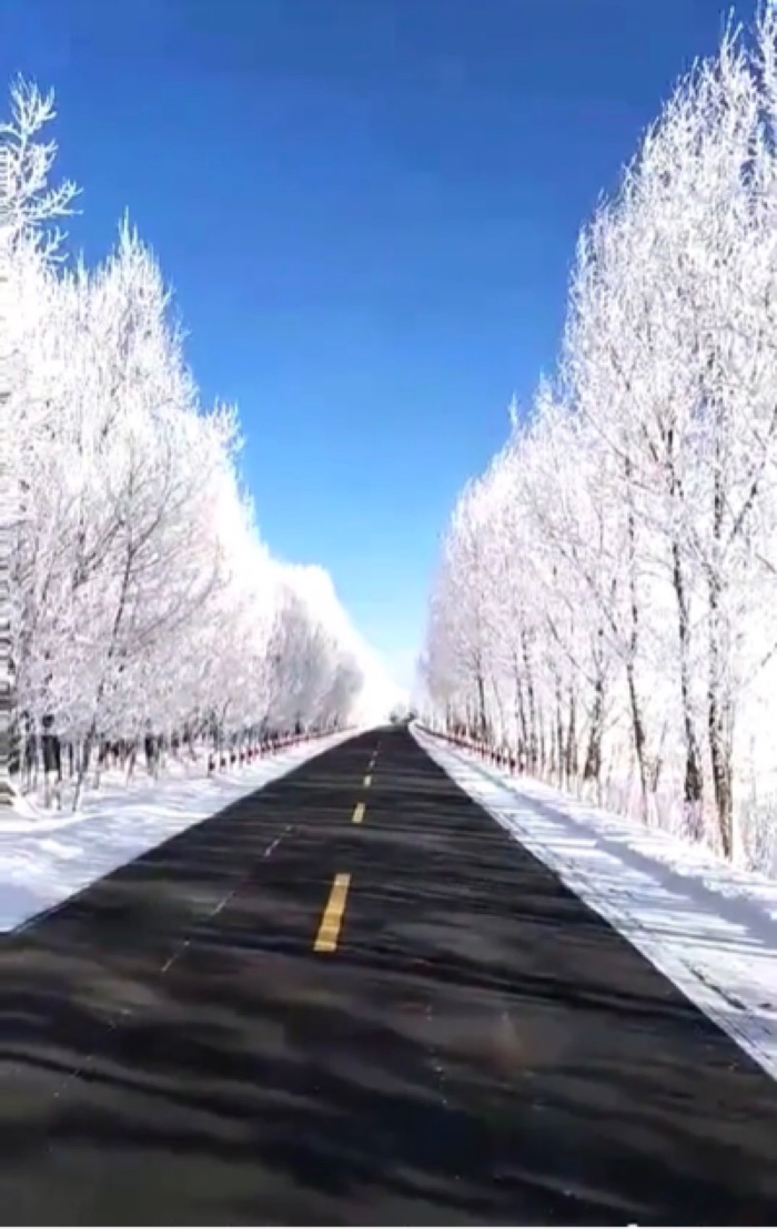 晒晒当地的雪景# 雪天景色优美,可是行车困难! 0°c的温柔