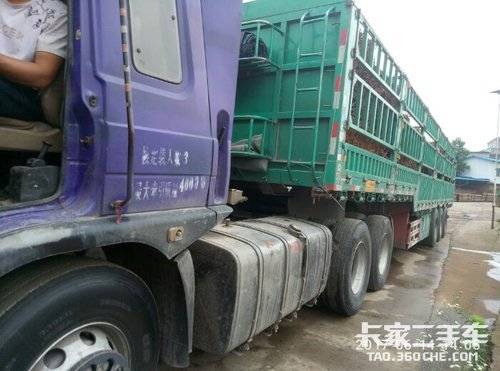 东风紫罗兰