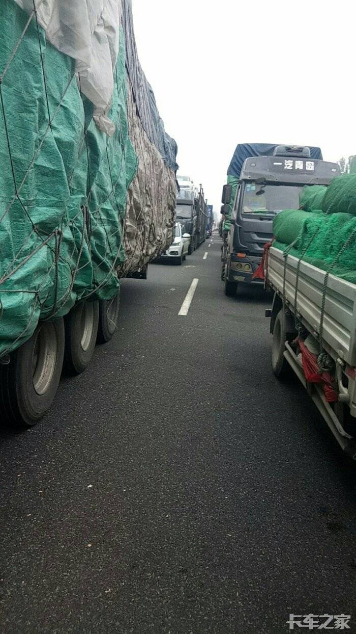 济广高速鲁豫界堵车