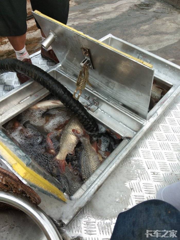 有没有鱼车出租的,每趟8000多斤.