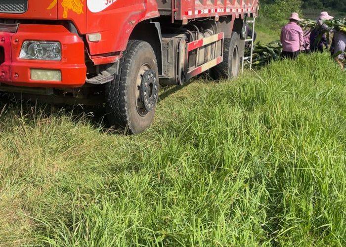 二手东风商用车 260马力 自卸车