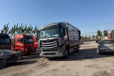 二手中国重汽 HOWO MAX 290马力 4X2 6.75米仓栅式载货车(国六) 单桥 曼二手载货车 黄牌图片