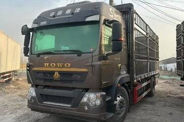 二手中国重汽 HOWO TX 270马力 4X2 6.2米仓栅式货车(国六) 单桥 曼二手载货车 黄牌图片