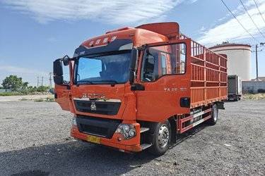 二手中国重汽 HOWO TX 旗舰版 250马力 4X2 6.75米AMT自动挡仓栅式货车(国六) 单桥 曼二手载货车 黄牌图片