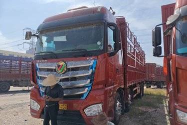 二手福田 欧曼EST 6系重卡 穿越版 460马力 8X4 9.6米仓栅式载货车(国五) 前四后八 福田康明斯二手载货车 黄牌图片