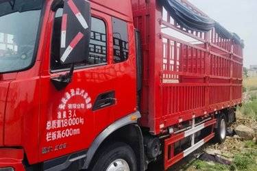 二手东风商用车 天锦KR 舒适版 260马力 4X2 6.8米仓栅式载货车(国六)(高顶)(国六) 单桥 东风康明斯二手载货车 黄牌图片