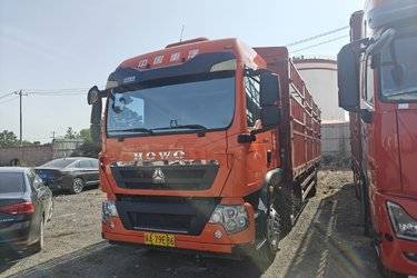 二手中国重汽 HOWO TX重卡 2020豪华版 280马力 6X2 7.8米仓栅式载货车(国五) 前四后四 曼二手载货车 黄牌图片
