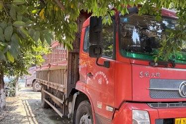 二手东风商用车 天锦中卡 180马力 6X2排半载货车底盘(国五) 前四后四 东风康明斯二手载货车图片