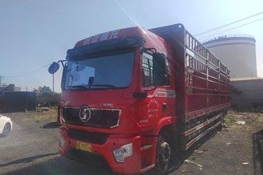二手陕汽重卡 德龙L5000 经典版 270马力 6X2 9.8米仓栅式载货车(国六) 单桥 潍柴二手载货车 黄牌图片