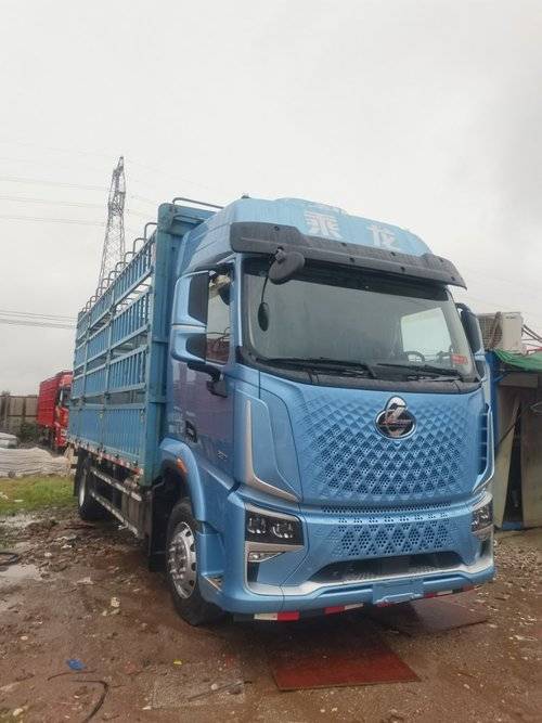 东风柳汽乘龙 290马力 载货车