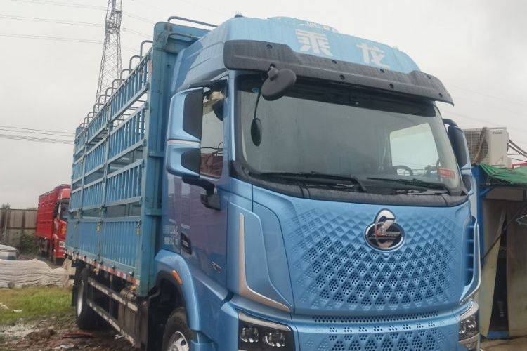 东风柳汽乘龙 290马力 载货车