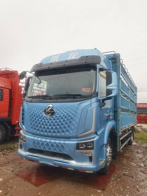 东风柳汽乘龙 290马力 载货车