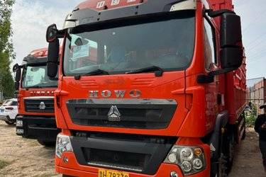 二手中国重汽 HOWO TX重卡 2020豪华版 280马力 6X2 7.8米仓栅式载货车(国五) 前四后四 曼二手载货车 黄牌图片