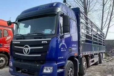 二手福田 欧曼新ETX 6系重卡 320马力 8X2 9.6米仓栅式载货车(国五) 前四后六 福田康明斯二手载货车 黄牌图片