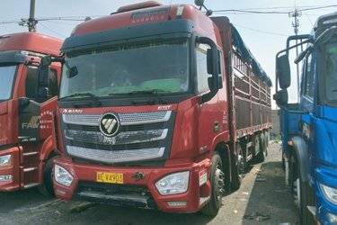 二手福田 欧曼EST 6系重卡 430马力 8X4 9.53米仓栅式载货车(国五) 前四后八 康明斯二手载货车 黄牌图片