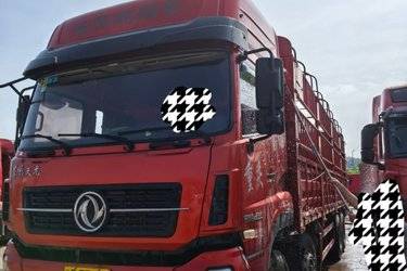 二手东风商用车 天龙重卡 350马力 8X4 9.4米仓栅式载货车(国五) 前四后八 东风二手载货车 黄牌图片