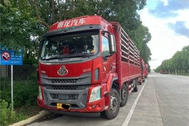 二手东风柳汽 乘龙H5中卡 260马力 6X2 9.7米仓栅式载货车(国五) 前四后四 玉柴二手载货车 黄牌图片