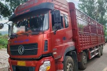 二手东风商用车 天龙重卡 350马力 8X4 9.4米仓栅式载货车(国五) 前四后八 东风二手载货车 黄牌图片