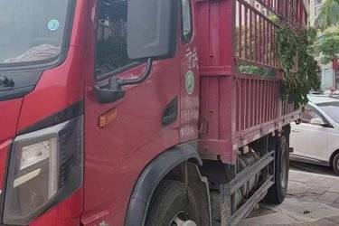 二手湖北大运 运隆 标载型 200马力 4X2 4.8米排半仓栅式载货车(国六) 单桥 大连大机二手载货车 黄牌图片