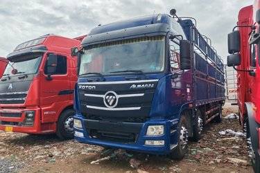 二手福田 欧曼新ETX 6系重卡 280马力 6X2 9.53米仓栅式载货车(国五) 前四后四 福田康明斯二手载货车 黄牌图片