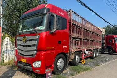 二手福田 欧曼EST 北方版 490马力 8X4 9.56米仓栅式载货车(采埃孚16挡)(国六) 前四后八 康明斯二手载货车 黄牌图片