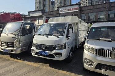 二手东风途逸 T5 2L 127马力 CNG 4.005米单排仓栅式小卡(国六) 单桥 东安二手载货车 蓝牌图片