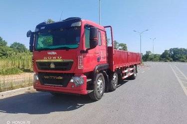 二手中国重汽 HOWO TX重卡 豪华版 280马力 6X2 7.8米栏板载货车(国五) 前四后四 曼二手载货车 黄牌