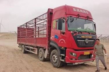 二手东风商用车 天锦KR PLUS 340马力 6X2 9.6米仓栅式载货车(国六) 前四后四 东风二手载货车 黄牌图片