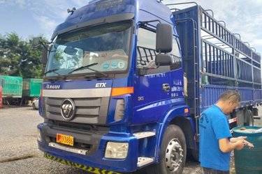 二手福田 欧曼ETX 5系重卡 245马力 6X2 7.8米仓栅式载货车(国五) 前四后四 康明斯二手载货车 黄牌