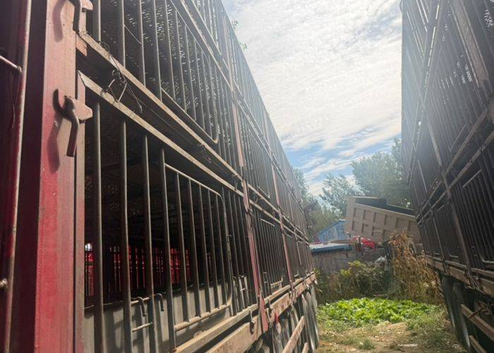 二手东风商用车 465马力 载货车