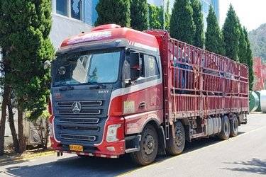二手三一集团 银松版 430马力 8X4 9.5米仓栅式载货车(国五) 前四后八 福田康明斯二手载货车 黄牌图片