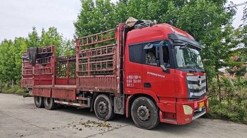 欧曼重卡(原福田欧曼) 430马力 载货车