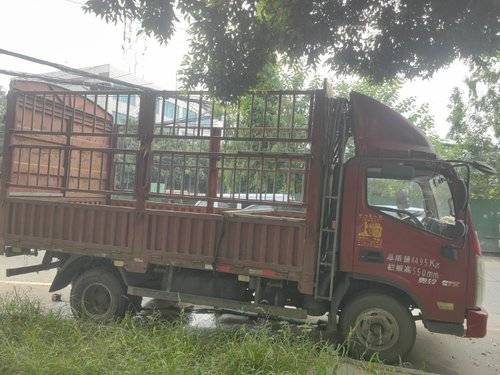 福田奥铃 141马力 载货车