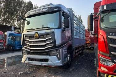 二手中国重汽 HOWO MAX 290马力 4X2 6.75米AMT自动档仓栅式载货车(国六) 单桥 曼二手载货车 黄牌图片