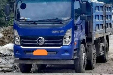 二手中国重汽成都商用车 力狮 220马力 6X2 4.7米自卸车(国五) 前四后四 玉柴二手自卸车 黄牌