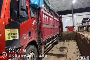 二手一汽解放 J6L重卡 240马力 4X2 车辆运输车(国五) 单桥 一汽二手载货车 黄牌图片