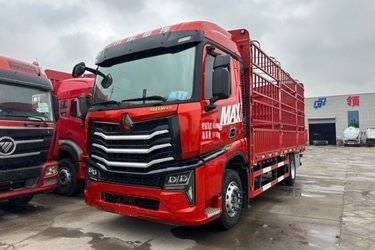二手中国重汽 HOWO MAX 290马力 4X2 6.75米AMT自动档仓栅式载货车(国六) 单桥 曼二手载货车 黄牌