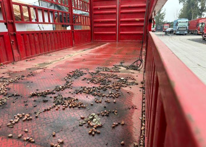 二手东风商用车 330马力 载货车