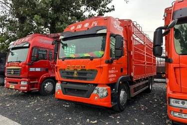 二手中国重汽 HOWO TX 旗舰版 290马力 4X2 6.8米仓栅式载货车(国六) 单桥 曼二手载货车 黄牌图片