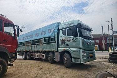 二手青岛解放 JH6 智享版 520马力 8X4 9.5米仓栅式载货车(国六) 前四后八 锡柴二手载货车 黄牌图片
