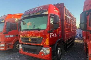 二手中国重汽 HOWO TX 290马力 4X2 6.8米仓栅式载货车(国六) 单桥 曼二手载货车 黄牌图片