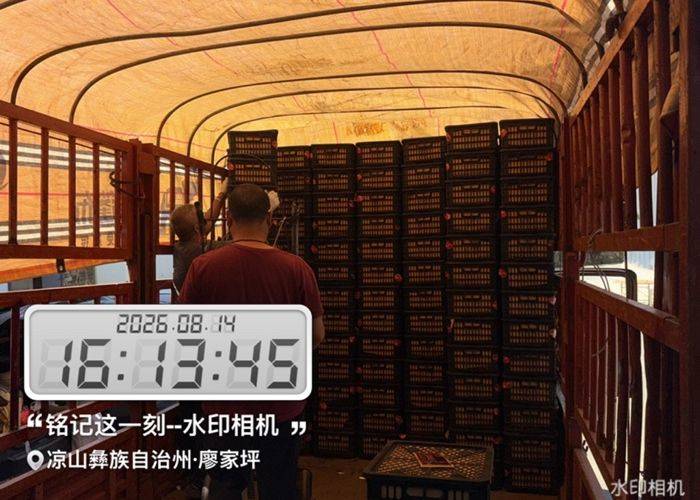二手重汽HOWO轻卡 115马力 载货车