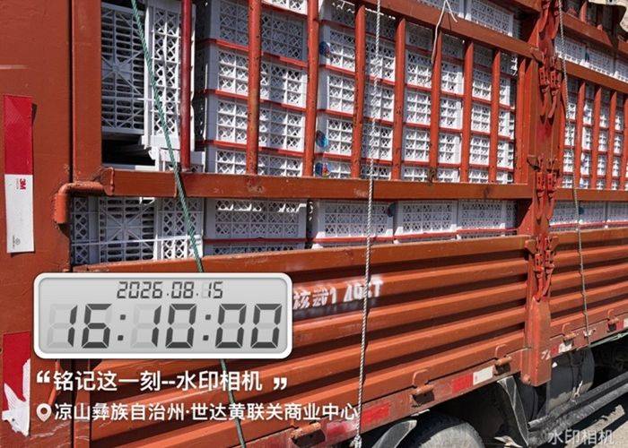 二手重汽HOWO轻卡 115马力 载货车