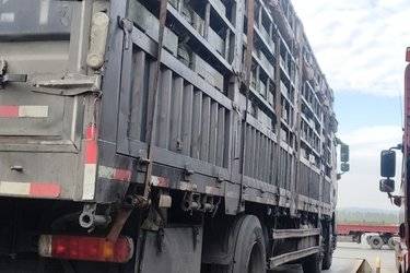 二手一汽解放 J6P 精英版 320马力 6X2 7.7米仓栅式载货车(国六) 前四后四 大柴二手载货车 黄牌