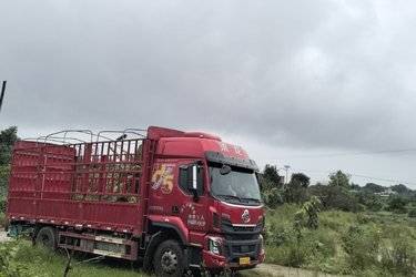 二手东风柳汽 乘龙H5 300马力 4X2 6.8米仓栅式载货车(国六) 单桥 玉柴二手载货车 黄牌