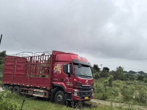 东风柳汽乘龙 300马力 载货车