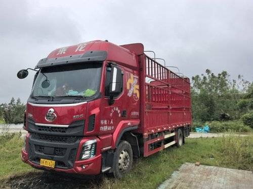 东风柳汽乘龙 300马力 载货车