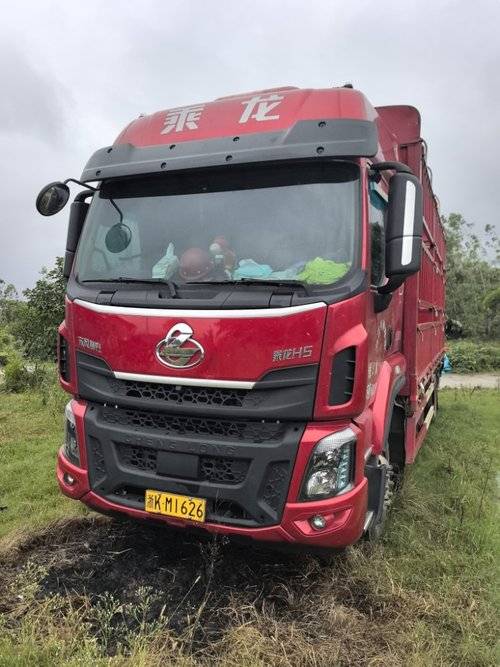 东风柳汽乘龙 300马力 载货车
