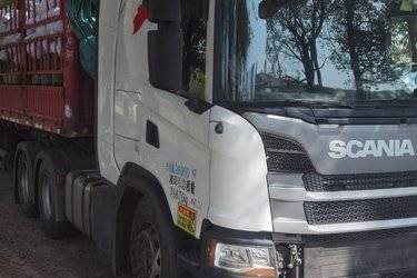 ���ֿ���˹������ ��Gϵ���ؿ� 500���� 6X4ǣ����(����) ˫�� ˹�����Ƕ���ǣ���� ����