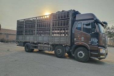 二手一汽解放 J6P重卡 280马力 6X2 7.7米仓栅式载货车(国五) 前四后四 大柴二手载货车 黄牌图片
